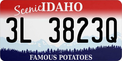 ID license plate 3L3823Q