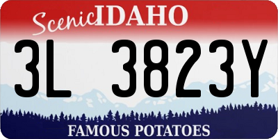 ID license plate 3L3823Y