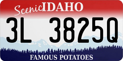 ID license plate 3L3825Q