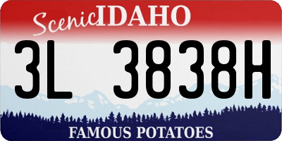 ID license plate 3L3838H