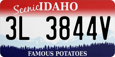 ID license plate 3L3844V