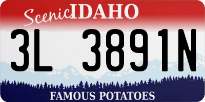ID license plate 3L3891N
