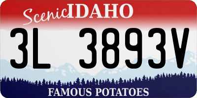 ID license plate 3L3893V