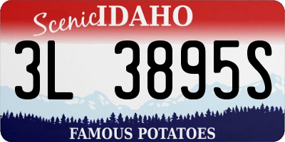 ID license plate 3L3895S