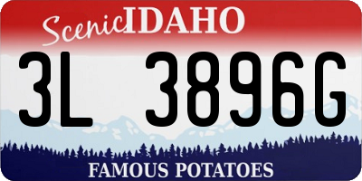 ID license plate 3L3896G