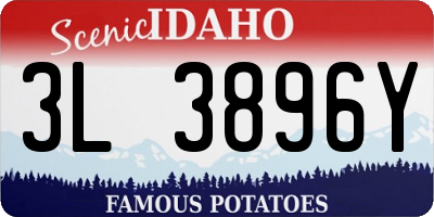 ID license plate 3L3896Y