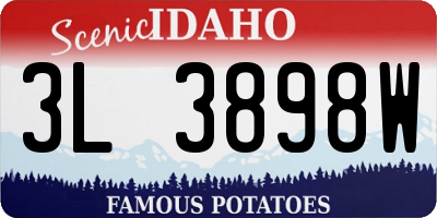 ID license plate 3L3898W