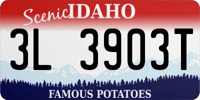 ID license plate 3L3903T