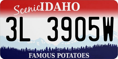 ID license plate 3L3905W