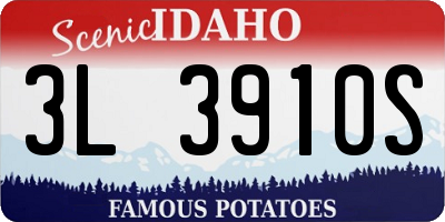 ID license plate 3L3910S