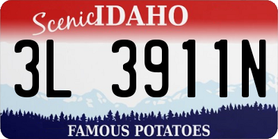 ID license plate 3L3911N
