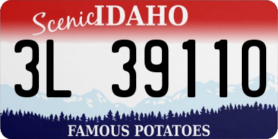 ID license plate 3L3911O