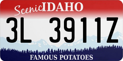 ID license plate 3L3911Z