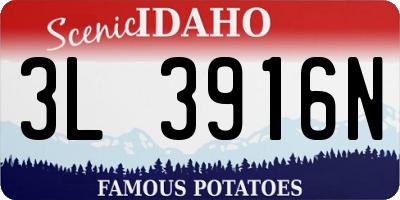 ID license plate 3L3916N