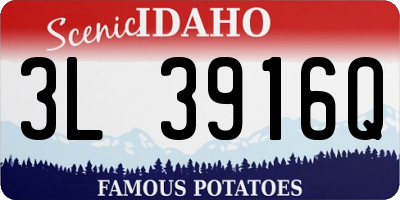 ID license plate 3L3916Q