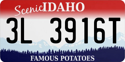 ID license plate 3L3916T