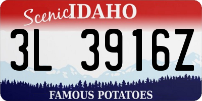 ID license plate 3L3916Z
