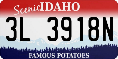 ID license plate 3L3918N