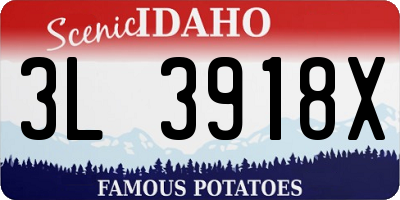 ID license plate 3L3918X