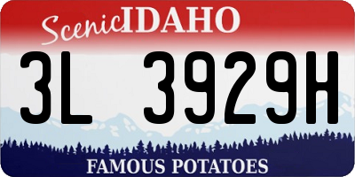 ID license plate 3L3929H