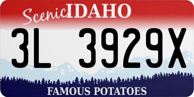 ID license plate 3L3929X