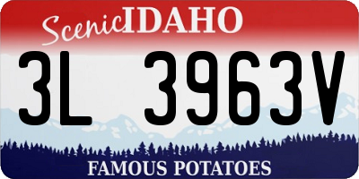 ID license plate 3L3963V