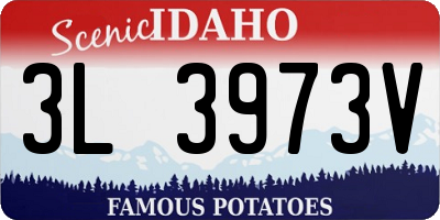 ID license plate 3L3973V