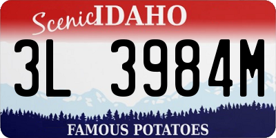 ID license plate 3L3984M