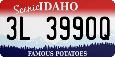 ID license plate 3L3990Q