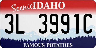 ID license plate 3L3991C
