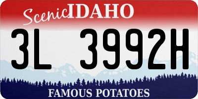 ID license plate 3L3992H