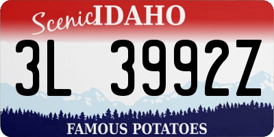 ID license plate 3L3992Z