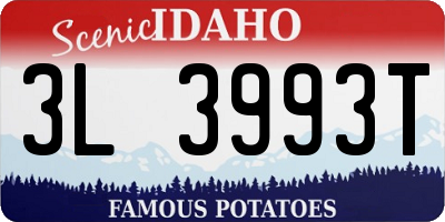 ID license plate 3L3993T
