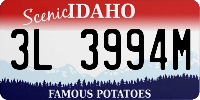 ID license plate 3L3994M