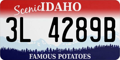 ID license plate 3L4289B