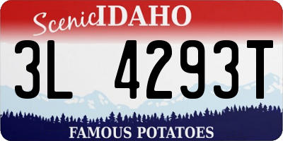 ID license plate 3L4293T