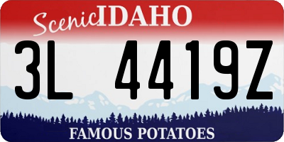 ID license plate 3L4419Z