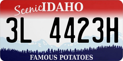 ID license plate 3L4423H