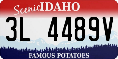 ID license plate 3L4489V