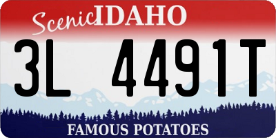 ID license plate 3L4491T