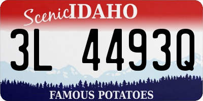 ID license plate 3L4493Q