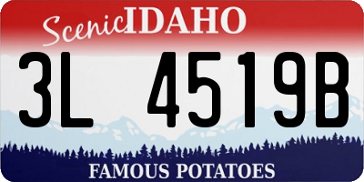 ID license plate 3L4519B