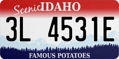 ID license plate 3L4531E