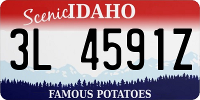 ID license plate 3L4591Z