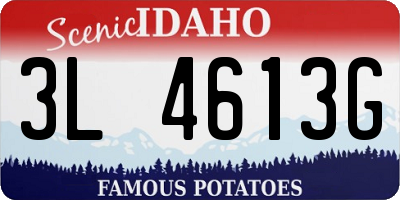 ID license plate 3L4613G