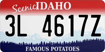 ID license plate 3L4617Z
