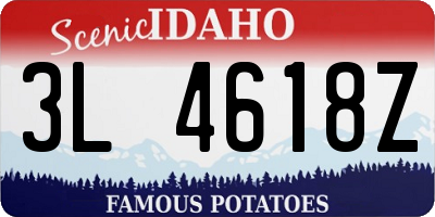 ID license plate 3L4618Z