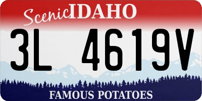 ID license plate 3L4619V