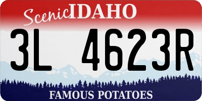 ID license plate 3L4623R