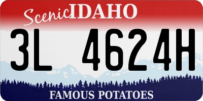 ID license plate 3L4624H